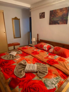 Apartman Radovic